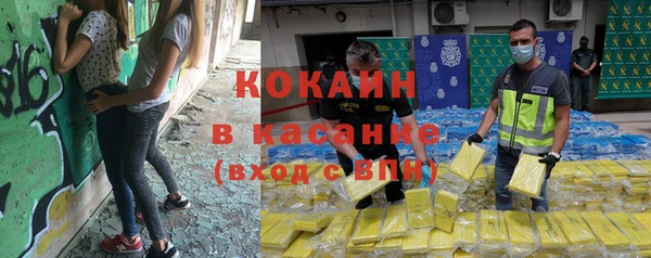 гидра Зарайск