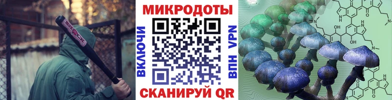 Псилоцибиновые грибы Cubensis  сколько стоит  Стерлитамак 