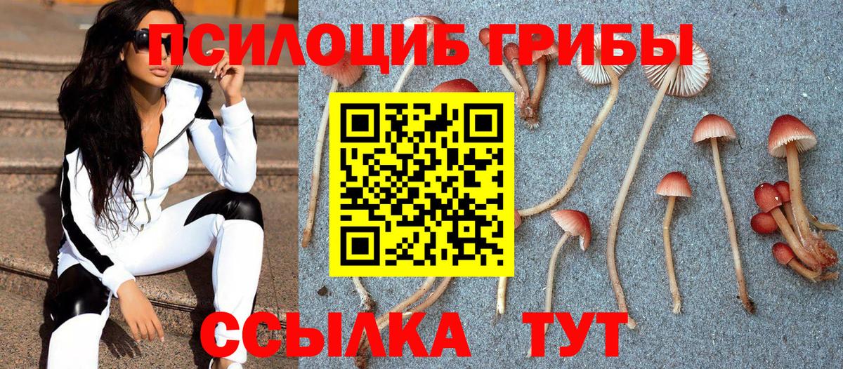 Стерлитамак  Псилоцибиновые грибы MAGIC MUSHROOMS  купить  сайты  Вход с VPN  Галлюциногенные грибы Cubensis 