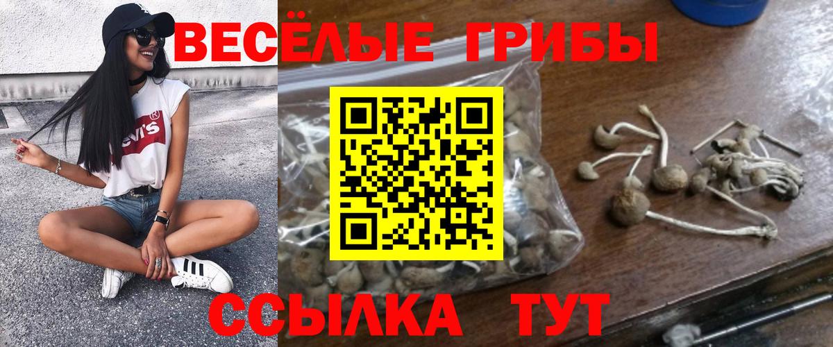 Псилоцибиновые грибы MAGIC MUSHROOMS Стерлитамак